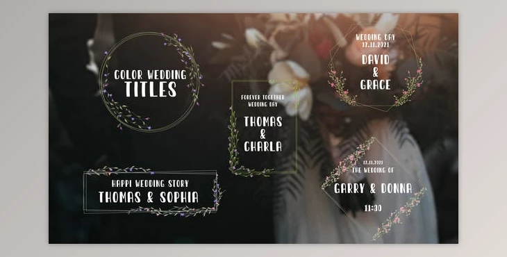 Download Color Wedding Titles (Videohive 33959571)