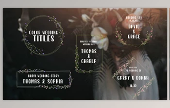 Download <span class='badge badge-warning'>Color</span> Wedding Titles (Videohive 33959571)