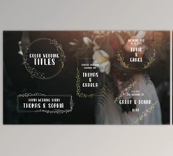 Download Color Wedding Titles (Videohive 33959571)