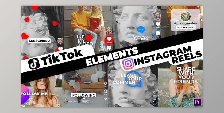 Download TikTok&Instagram Elements (Videohive 33947997) - PR Project