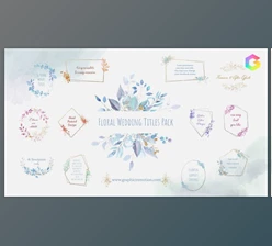 Download Floral Watercolour Wedding Titles Pack (Videohive 33962121)