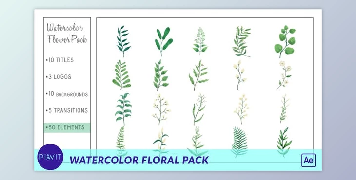 Download Watercolor Flower Pack (Videohive 33428736) - AE Project