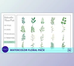 Download Watercolor Flower Pack (Videohive 33428736) - AE Project