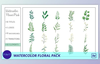Download Watercolor <span class='badge badge-warning'>Flower</span> Pack (Videohive 33428736) - AE Project