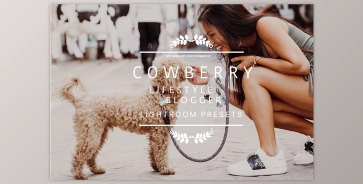 Download Desktop Lightroom Presets COWBERRY (LRTEMPLATE)