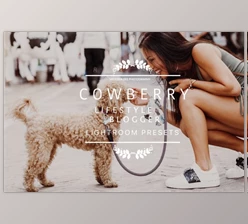 Download Desktop Lightroom Presets COWBERRY (LRTEMPLATE)