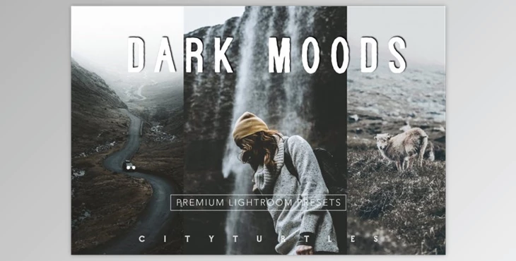 Download Moody Matte VSCO Film Cinema Presets (Mob, Desk)