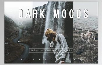 Download Moody Matte VSCO Film <span class='badge badge-warning'>Cinema</span> Presets (Mob, Desk)