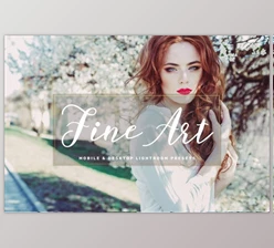 Download Fine Art Lightroom Presets