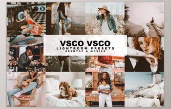 Download Bundle VSCO (<span class='badge badge-warning'>XMP</span>, DNG, PDF)