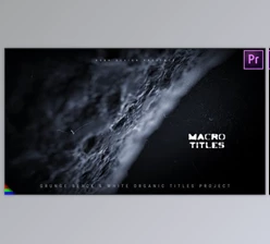 Download Covid Titles (Videohive 33658381)