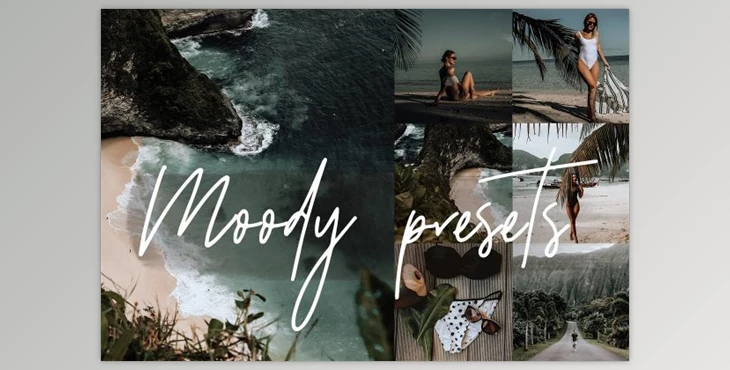 Download MOODY LIGHTROOM MOBILE PRESETS CreativeMarket 3563862