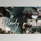 Download MOODY LIGHTROOM MOBILE PRESETS CreativeMarket 3563862