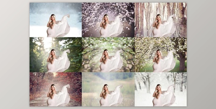Download Seasonal Digital Backdrop Collection