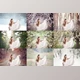 Download Seasonal Digital Backdrop Collection