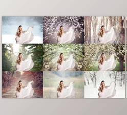 Download Seasonal Digital Backdrop Collection