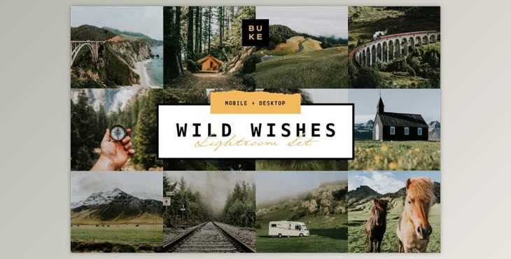 Download Wild Wishes – 6 Lightroom Presets