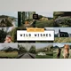 Download Wild Wishes – 6 Lightroom Presets