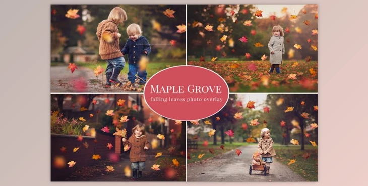 Download Maple Grove – falling leaves overlay (PSD, JPG)