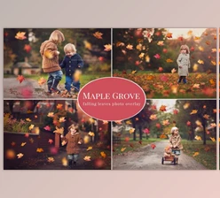Download Maple Grove – falling leaves overlay (PSD, JPG)