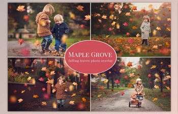 Download Maple Grove – falling leaves overlay (PSD, <span class='badge badge-warning'>JPG</span>)
