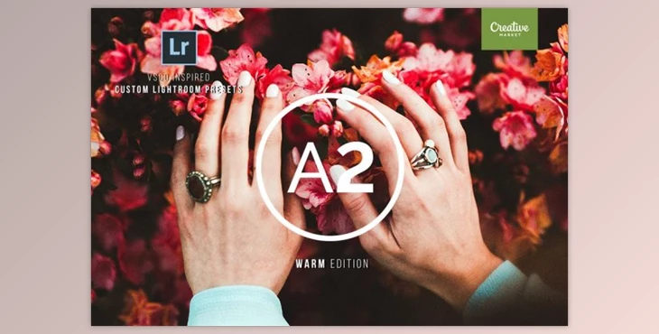 Download VSCO BUNDLE Lightroom Presets