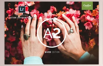 Download VSCO <span class='badge badge-warning'>BUNDLE</span> Lightroom Presets