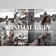 Download Minimal Grey Lightroom Mobile Preset CreativeMarket 3836032