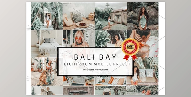 Download 5 Mobile Presets BALI BAY (DNG, Zip, PDF)