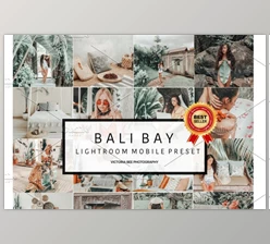 Download 5 Mobile Presets BALI BAY (DNG, Zip, PDF)