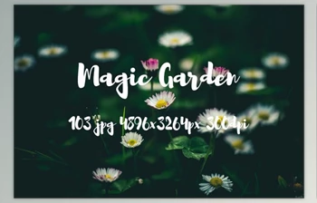 Download Magic garden pack (<span class='badge badge-warning'>jpg</span>, dpi)