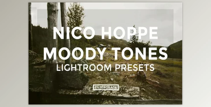 Download Nico Hoppe Moody Tones Lightroom Presets