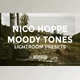 Download Nico Hoppe Moody Tones Lightroom Presets - Moody Nature Tones for Landscape Photographers
