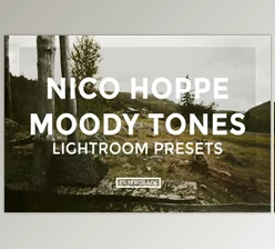 Download Nico Hoppe Moody Tones Lightroom Presets - Moody Nature Tones for Landscape Photographers