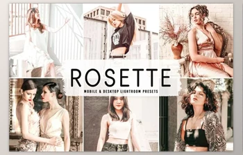 Download <span class='badge badge-warning'>Rosette</span> Pro Lightroom Presets 6504636 (Mob, Desk)