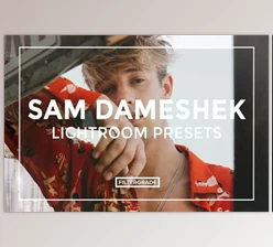 Download Sam Dameshek Lightroom Presets