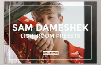 Download Sam <span class='badge badge-warning'>Dameshek</span> Lightroom Presets