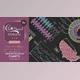 Download Chalkboard Infographics Premiere Pro (Videohive 33801400)