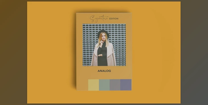 Download Analog Signature Mobile Lr Preset CreativeMarket-5991857 (DNG)