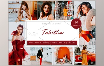 Download 10 x Lightroom Presets, Tabitha <span class='badge badge-warning'>CreativeMarket-5962697</span> (LRTEMPLATE, DNG, XMP)