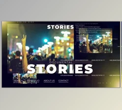 Download Political Event (Motionarray 900432) - PR Project