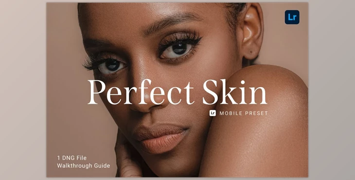 Download Perfect Skin Lightroom Preset CreativeMarket-5913924 (DNG)