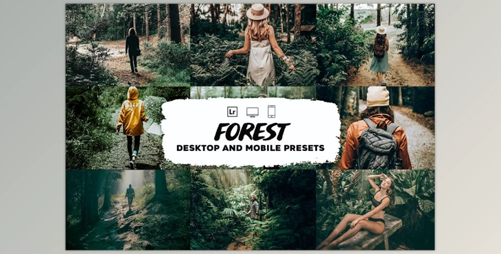 Download Forest Lightroom Presets CreativeMarket-5953341 (DNG)