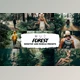 Download Forest Lightroom Presets CreativeMarket-5953341 (DNG)