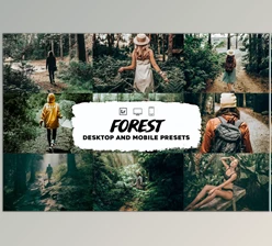 Download Forest Lightroom Presets CreativeMarket-5953341 (DNG)