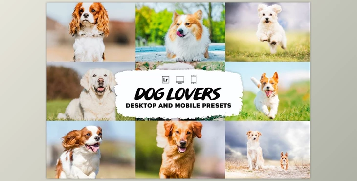 Download Dog Lovers Lightroom Presets CreativeMarket-5953302 (DNG)