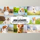 Download Dog Lovers Lightroom Presets CreativeMarket-5953302 (DNG)