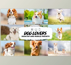 Download Dog Lovers Lightroom Presets CreativeMarket-5953302 (DNG)