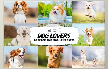 Download Dog Lovers <span class='badge badge-warning'>Lightroom</span> <span class='badge badge-warning'>Presets</span> CreativeMarket-5953302 (<span class='badge badge-warning'>DNG</span>)