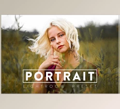 Download 10 PORTRAIT Lightroom Mobile Preset CreativeMarket-5909830 (XMP, LRTEMPLATE, DNG)